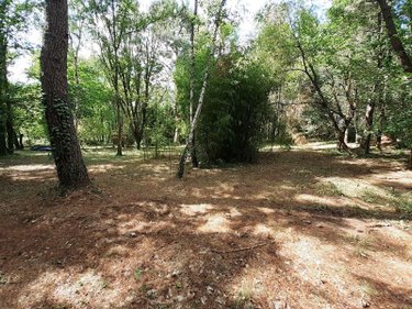 Terrains de loisirs bois etangs a vendre Marigné-Laillé 72220 Sarthe 4950 m2  11000 euros