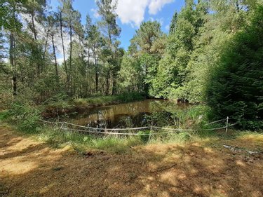 Terrains de loisirs bois etangs a vendre Marigné-Laillé 72220 Sarthe 4950 m2  11000 euros