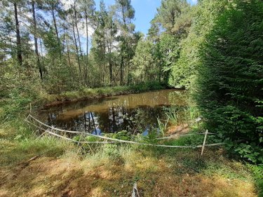 Terrains de loisirs bois etangs a vendre Marigné-Laillé 72220 Sarthe 4950 m2  11000 euros