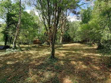 Terrains de loisirs bois etangs a vendre Marigné-Laillé 72220 Sarthe 4950 m2  11000 euros