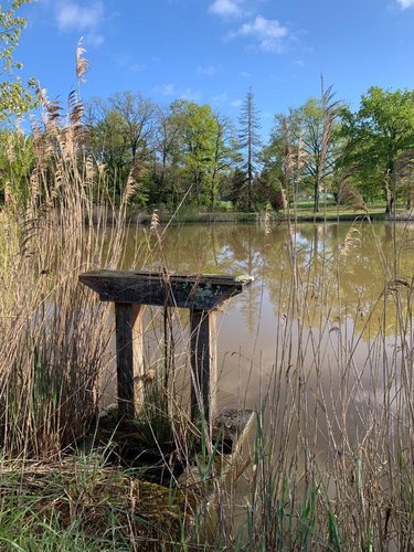 Terrains de loisirs bois etangs a vendre Mézières-en-Brenne 36290 Indre 11458 m2  27700 euros