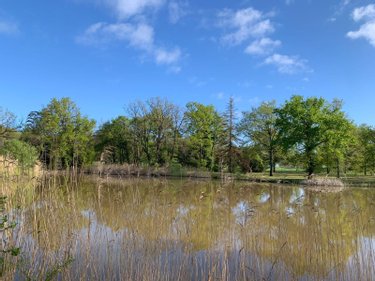 Terrains de loisirs bois etangs a vendre Mézières-en-Brenne 36290 Indre 11458 m2  27700 euros