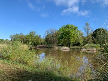 Terrains de loisirs bois etangs a vendre Mézières-en-Brenne 36290 Indre 11458 m2  27700 euros