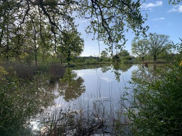 Terrains de loisirs bois etangs a vendre Mézières-en-Brenne 36290 Indre 11458 m2  27700 euros