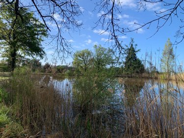 Terrains de loisirs bois etangs a vendre Mézières-en-Brenne 36290 Indre 11458 m2  27700 euros