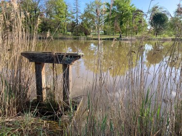 Terrains de loisirs bois etangs a vendre Mézières-en-Brenne 36290 Indre 11458 m2  27700 euros