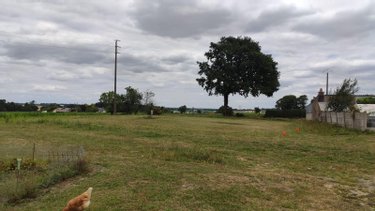 Terrain a batir a vendre Pluméliau-Bieuzy 56930 Morbihan 687 m2  47655 euros