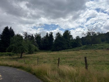 Terrain a batir a vendre Saint-Nabord 88200 Vosges 3190 m2  68200 euros