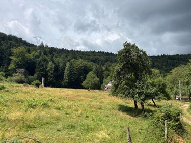 Terrain a batir a vendre Saint-Nabord 88200 Vosges 3190 m2  68200 euros