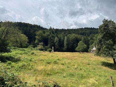 Terrain a batir a vendre Saint-Nabord 88200 Vosges 3190 m2  68200 euros
