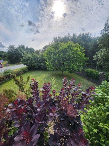 Maison a vendre Angers 49000 Maine-et-Loire 211 m2 7 pièces 759200 euros