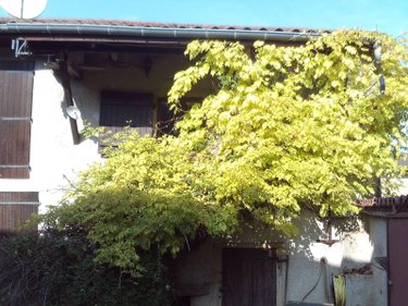 Maison a vendre Hurigny 71870 Saône-et-Loire 80 m2 3 pièces 157500 euros