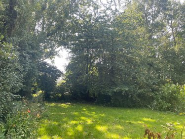 Maison a vendre Bailleul 59270 Nord 123 m2 5 pièces 230000 euros