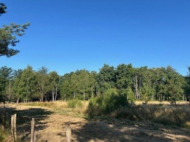 Terrains de loisirs bois etangs a vendre Baugé-en-Anjou 49150 Maine-et-Loire 28870 m2  31500 euros