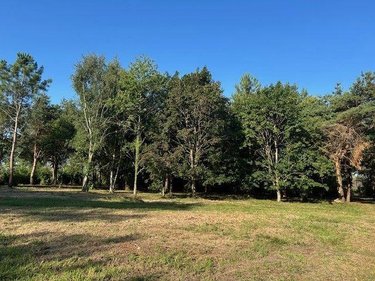 Terrains de loisirs bois etangs a vendre Baugé-en-Anjou 49150 Maine-et-Loire 28870 m2  31500 euros