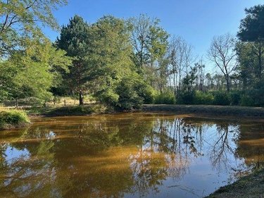 Terrains de loisirs bois etangs a vendre Baugé-en-Anjou 49150 Maine-et-Loire 28870 m2  31500 euros