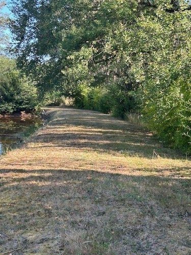 Terrains de loisirs bois etangs a vendre Baugé-en-Anjou 49150 Maine-et-Loire 28870 m2  31500 euros