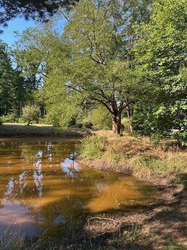 Terrains de loisirs bois etangs a vendre Baugé-en-Anjou 49150 Maine-et-Loire 28870 m2  31500 euros