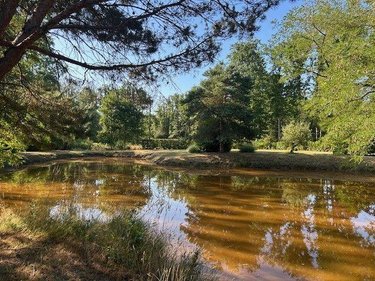 Terrains de loisirs bois etangs a vendre Baugé-en-Anjou 49150 Maine-et-Loire 28870 m2  31500 euros