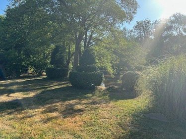Terrains de loisirs bois etangs a vendre Baugé-en-Anjou 49150 Maine-et-Loire 28870 m2  31500 euros