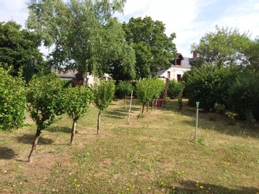 Maison a vendre Sambin 41120 Loir-et-Cher 77 m2 3 pièces 126750 euros