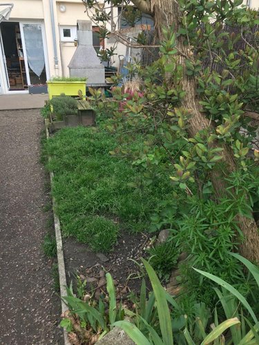 Immeuble a vendre Eu 76260 Seine-Maritime 131 m2  195000 euros
