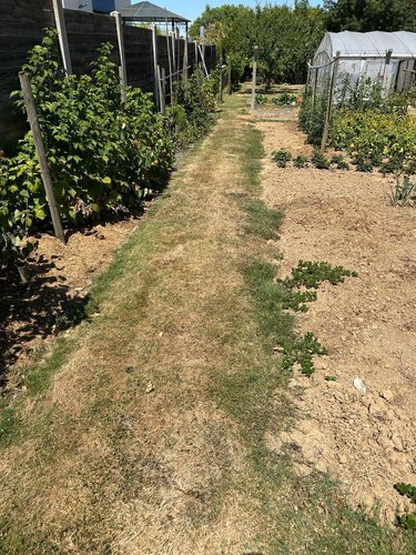 Terrain a batir a vendre Chalonnes-sur-Loire 49290 Maine-et-Loire 880 m2  80800 euros