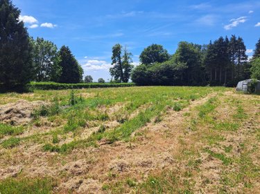 Maison a vendre Querrien 29310 Finistère 60 m2 4 pièces 203190 euros