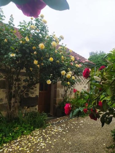 Maison a vendre Saint-Maurice-en-Quercy 46120 Lot 111 m2 3 pièces 203850 euros