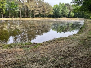 Terrains de loisirs bois etangs a vendre Renac 35660 Ille-et-Vilaine 12190 m2  34000 euros