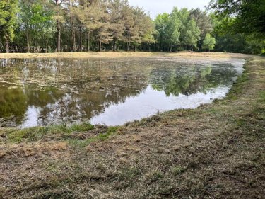Terrains de loisirs bois etangs a vendre Renac 35660 Ille-et-Vilaine 12190 m2  42990 euros