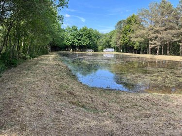 Terrains de loisirs bois etangs a vendre Renac 35660 Ille-et-Vilaine 12190 m2  42990 euros