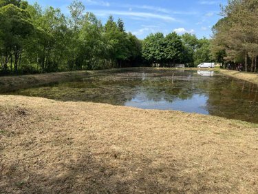 Terrains de loisirs bois etangs a vendre Renac 35660 Ille-et-Vilaine 12190 m2  42990 euros