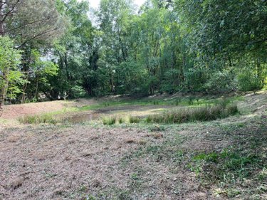 Terrains de loisirs bois etangs a vendre Renac 35660 Ille-et-Vilaine 12190 m2  34000 euros