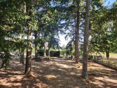Maison a vendre Saint-Julien-sur-Cher 41320 Loir-et-Cher 86 m2 3 pièces 84320 euros