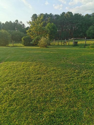 Maison a vendre Moncé-en-Belin 72230 Sarthe 126 m2 6 pièces 420000 euros