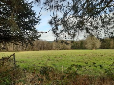 Maison a vendre Saint-Aignan 56480 Morbihan 83 m2 4 pièces 217500 euros