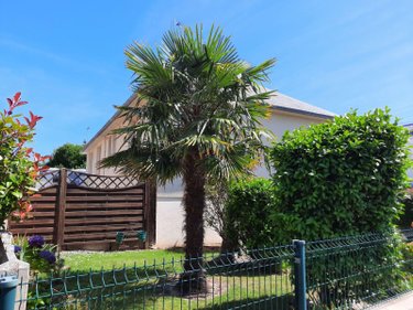 Maison a vendre Cancale 35260 Ille-et-Vilaine 78 m2 4 pièces 276130 euros