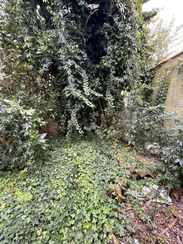 Maison a vendre Bordeaux 33000 Gironde 96 m2 4 pièces 350000 euros