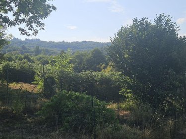 Viager maison Vaulry 87140 Haute-Vienne 107 m2 4 pièces 48800 euros