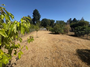 Maison a vendre Lamotte-Beuvron 41600 Loir-et-Cher 122 m2 6 pièces 242420 euros