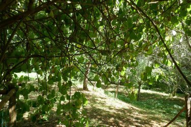 Maison a vendre Le Menoux 36200 Indre 84 m2 4 pièces 84800 euros