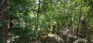 Bien agricole a vendre Genouilly 18310 Cher  4300 euros