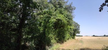 Bien agricole a vendre Genouilly 18310 Cher  4300 euros