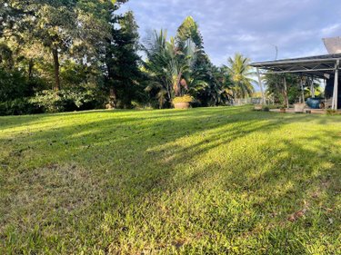 propriete a vendre Les Abymes 97139 Guadeloupe 395 m2 16 pièces 1322400 euros