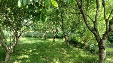 Maison a vendre Carentoir 56910 Morbihan 188 m2 7 pièces 308452 euros