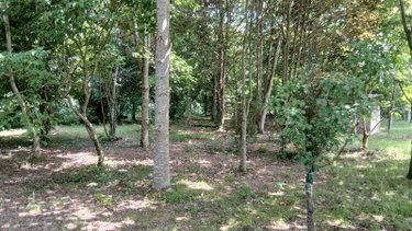 Maison a vendre Carentoir 56910 Morbihan 188 m2 7 pièces 308452 euros