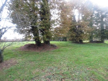 Maison a vendre La Gacilly 56200 Morbihan 80 m2 3 pièces 55000 euros