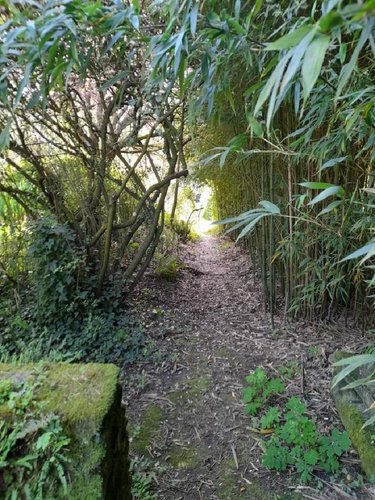 Maison a vendre La Gacilly 56200 Morbihan 200 m2 6 pièces 500000 euros