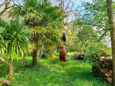 Maison a vendre La Gacilly 56200 Morbihan 200 m2 6 pièces 500000 euros
